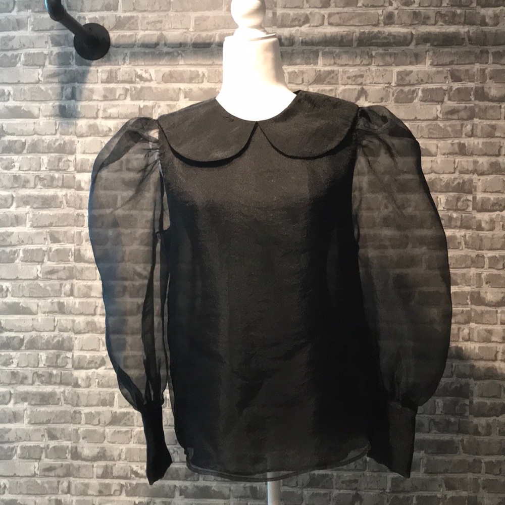 Zara Long sleeved sheer collared Blouse